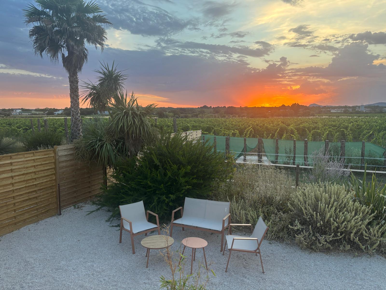 Coucher de soleil sur les vignes depuis le gîte rural L'Arche du Négadis à Paulhan, Hérault