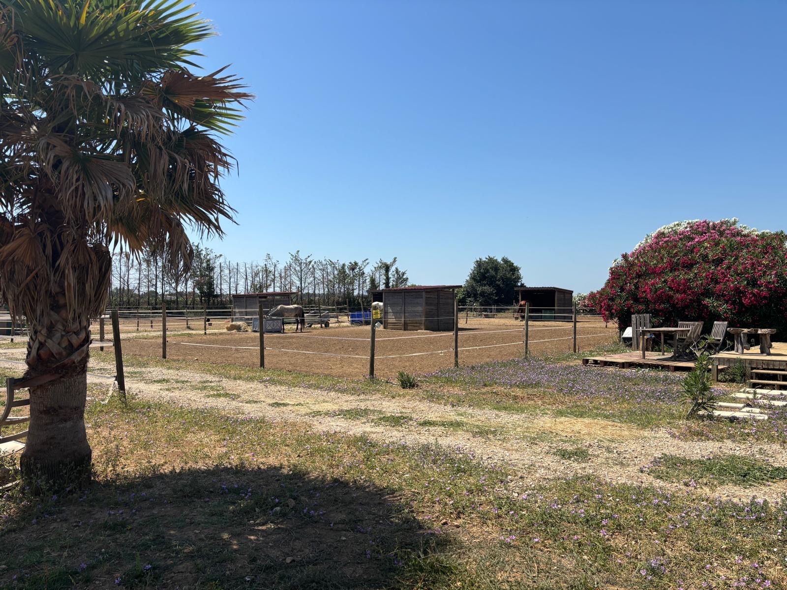 Domaine L'Arche du Négadis — Vue extérieure, Paulhan Hérault