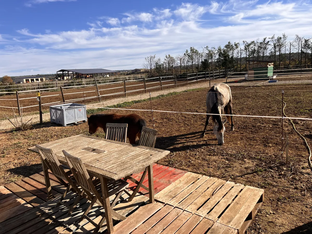 Terrasse maisonnette avec vue directe sur les mini-chevaux Paulhan