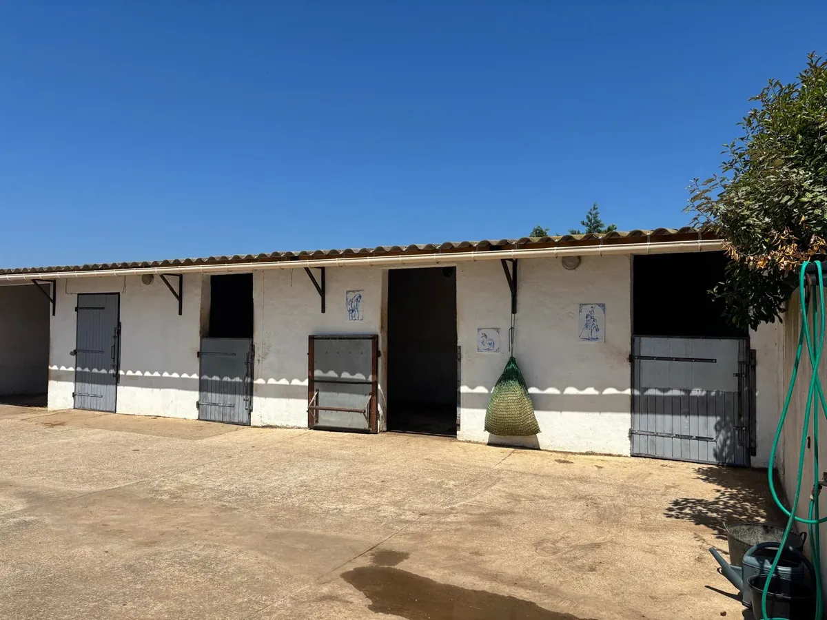 Terrasse gîte équestre Paulhan