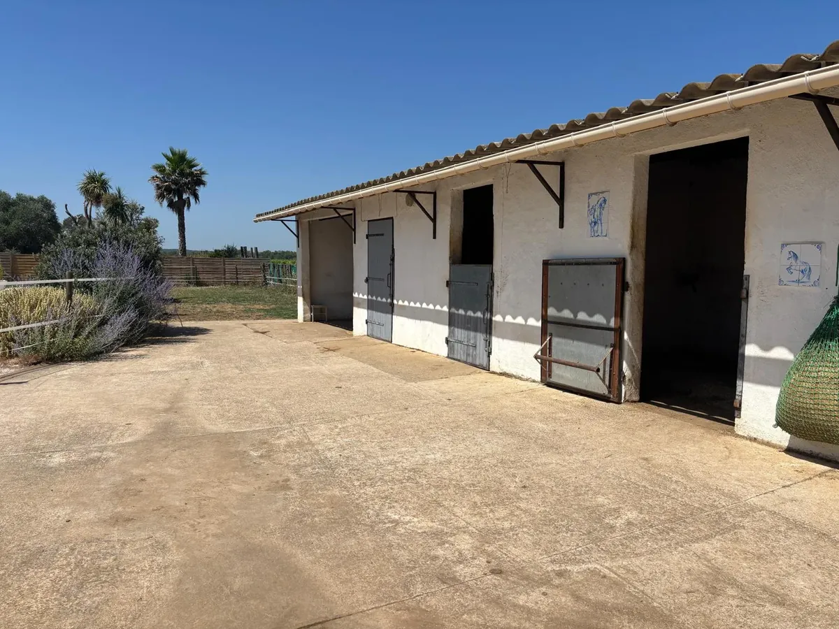 Boxes individuels du gîte équestre L'Arche du Négadis pour accueillir vos chevaux, Paulhan Hérault